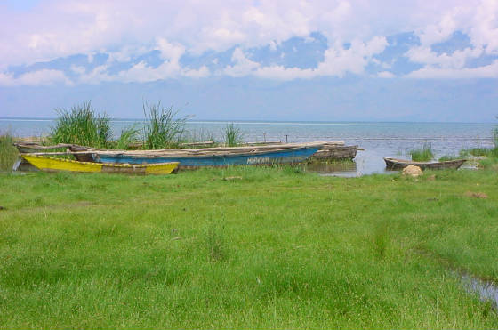 beach2.jpg