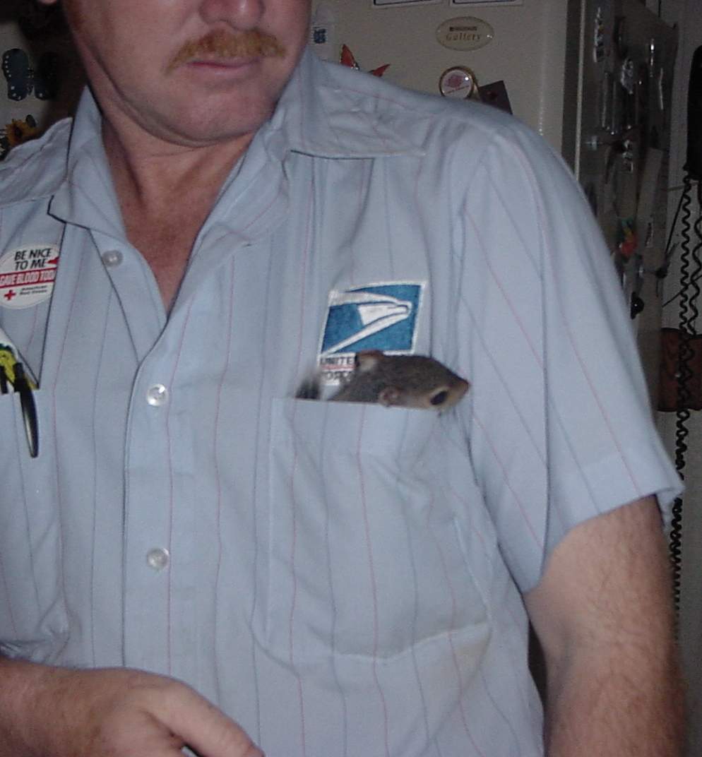 squirrelinpocket.jpg